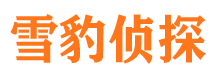 肃南寻人公司